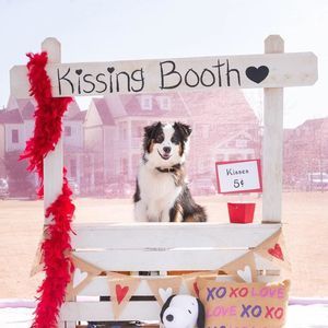 Meet your Posher, Joann